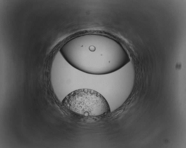 X0000101961255200807180654