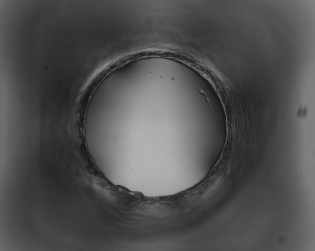 X0000101961256200807180654