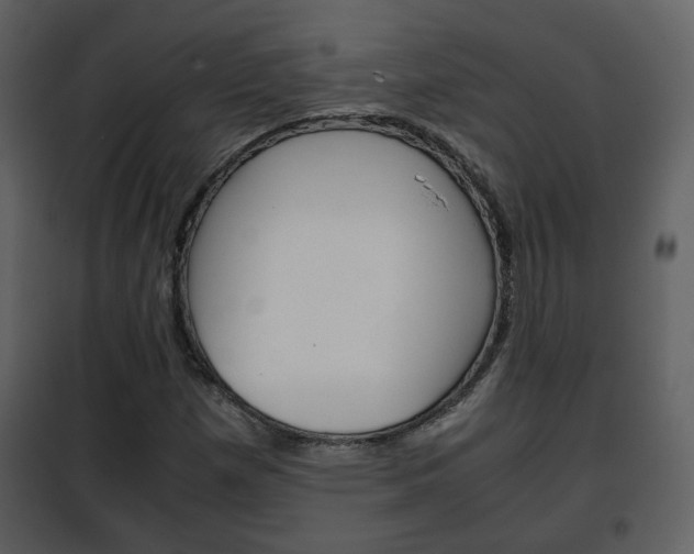 X0000101961257200807180654