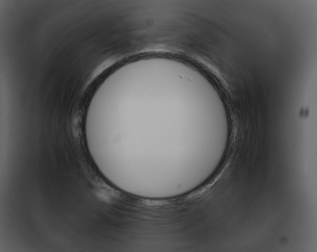 X0000101961258200807180654