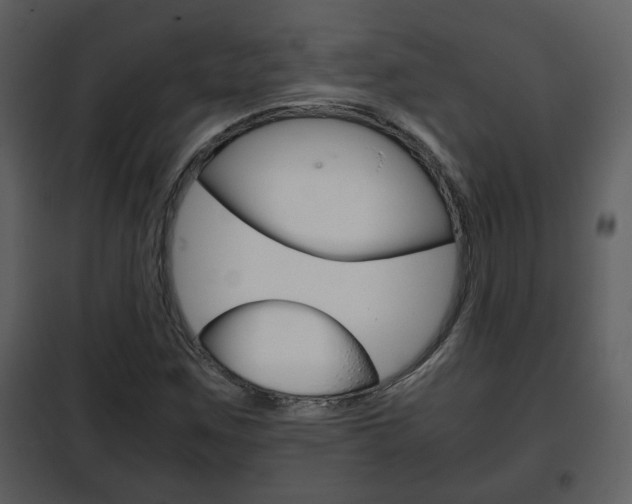 X0000101961259200807180654