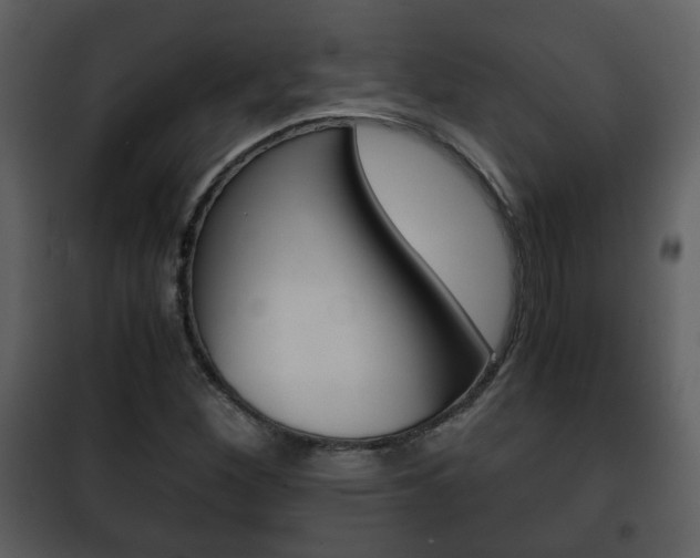 X0000101961260200807180654