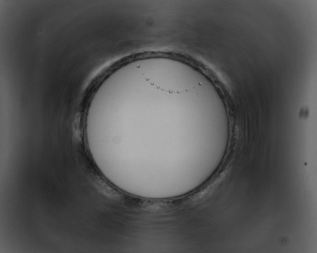 X0000101961262200807180654