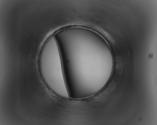X0000101961264200807180654