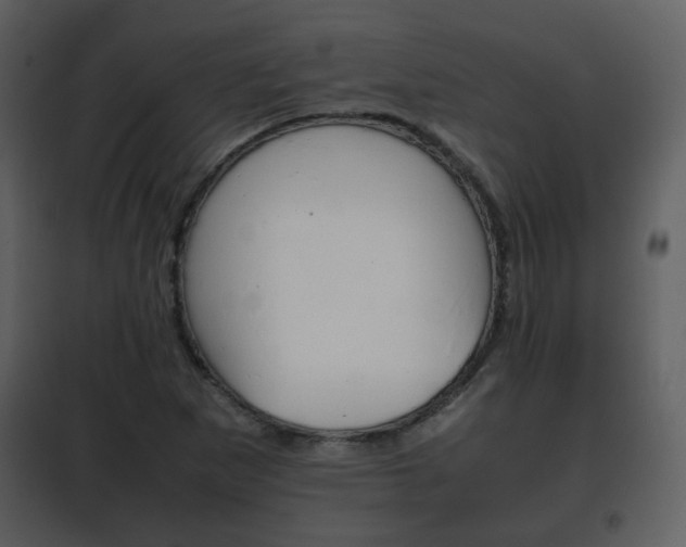 X0000101961265200807180654