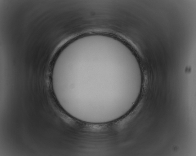 X0000101961266200807180654