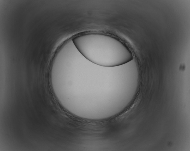 X0000101961267200807180654