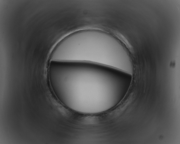 X0000101961268200807180654