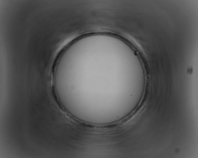 X0000101961269200807180654
