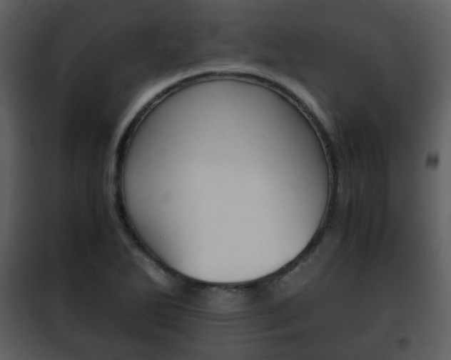 X0000101961270200807180654
