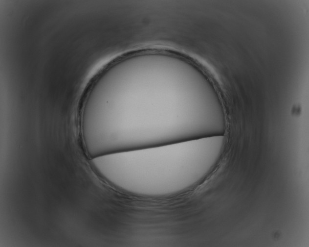 X0000101961271200807180654