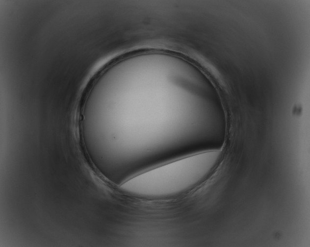 X0000101961272200807180654