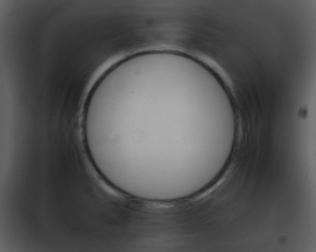 X0000101961278200807180653