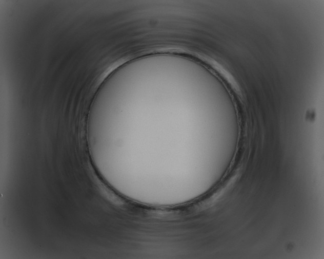 X0000101961281200807180653