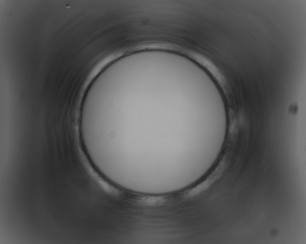 X0000101961282200807180653