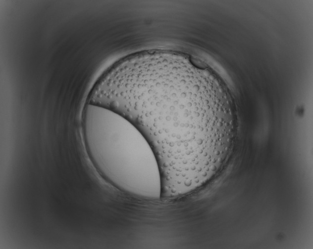 X0000101961283200807180653
