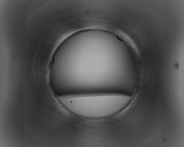 X0000101961284200807180653