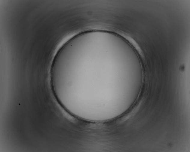 X0000101961285200807180653