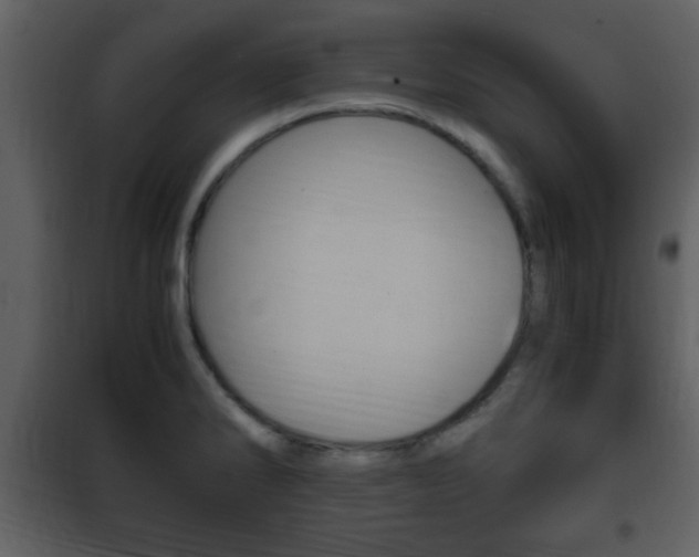 X0000101961286200807180653