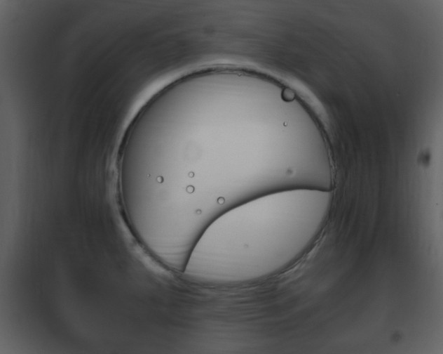 X0000101961287200807180653