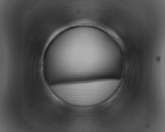 X0000101961288200807180653