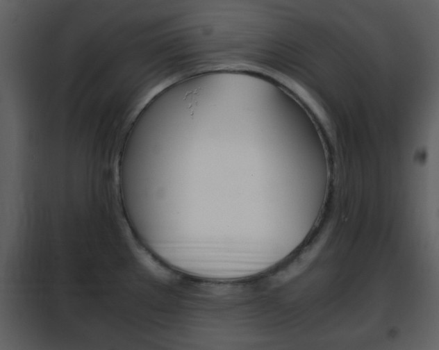 X0000101961289200807180653