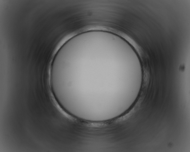 X0000101961290200807180653