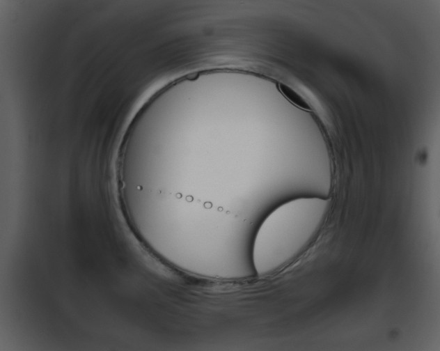 X0000101961291200807180653