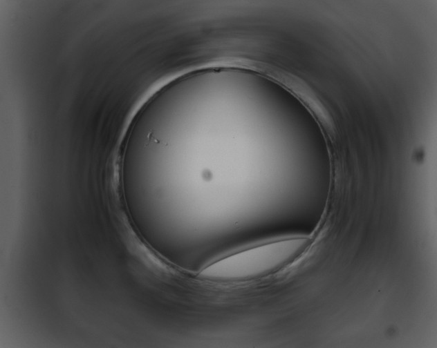 X0000101961292200807180653