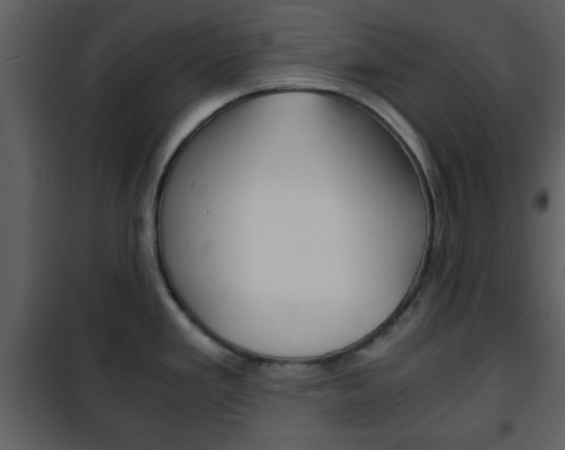 X0000101961293200807180653
