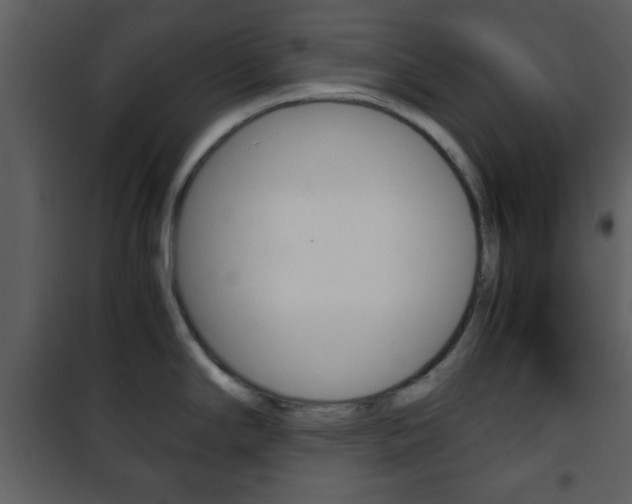 X0000101961294200807180653