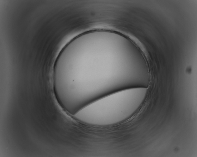 X0000101961295200807180653