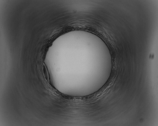 X0000101961297200807180653