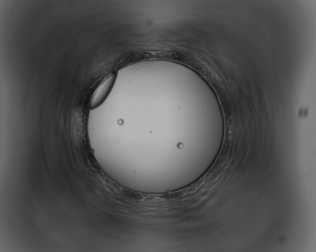 X0000101961298200807180653