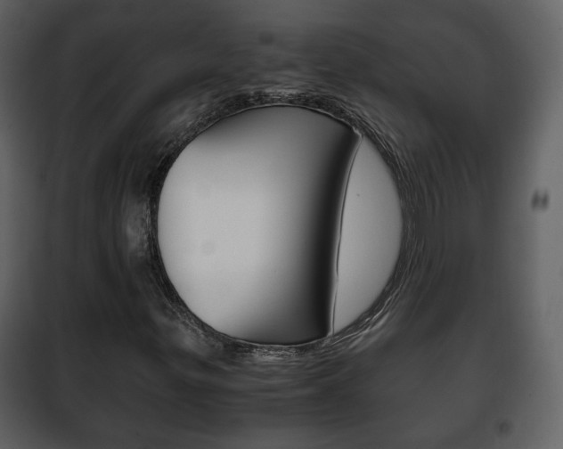 X0000101961299200807180653