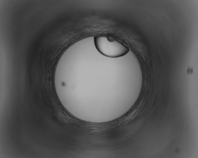 X0000101961300200807180653