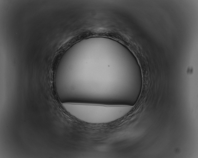 X0000101961301200807180653