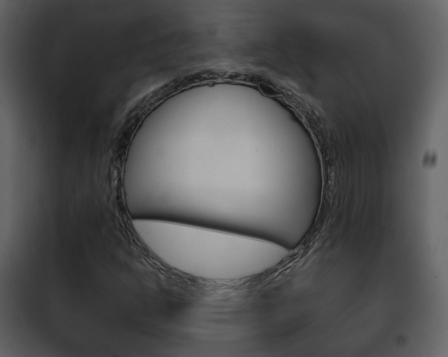 X0000101961302200807180653
