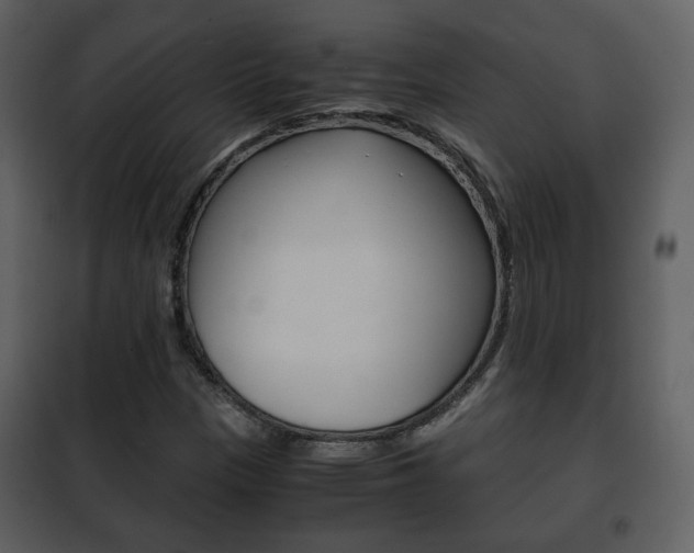 X0000101961305200807180653
