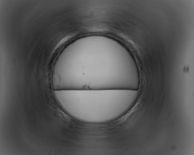 X0000101961306200807180653