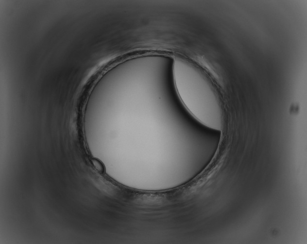 X0000101961307200807180653