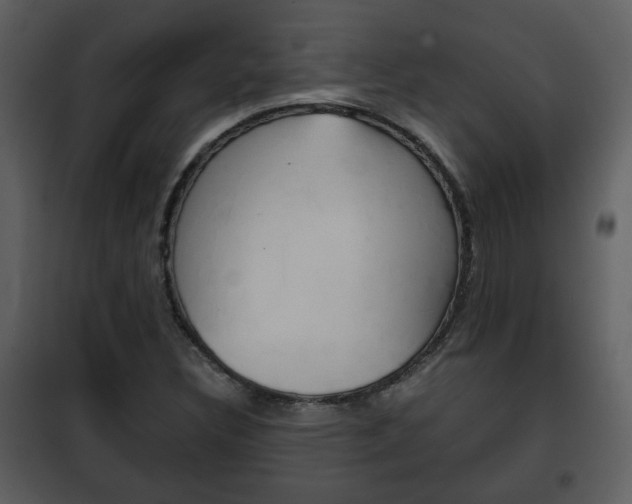 X0000101961308200807180653
