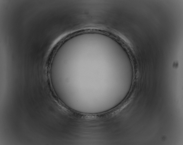 X0000101961310200807180653