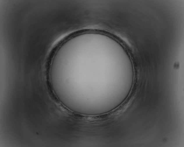 X0000101961311200807180653