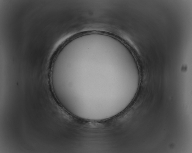 X0000101961312200807180653