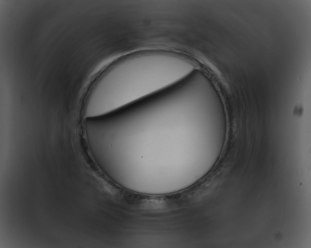 X0000101961315200807180653