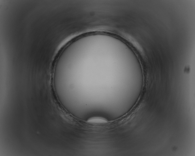 X0000101961316200807180653