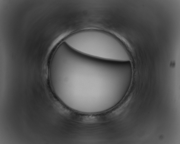 X0000101961317200807180653