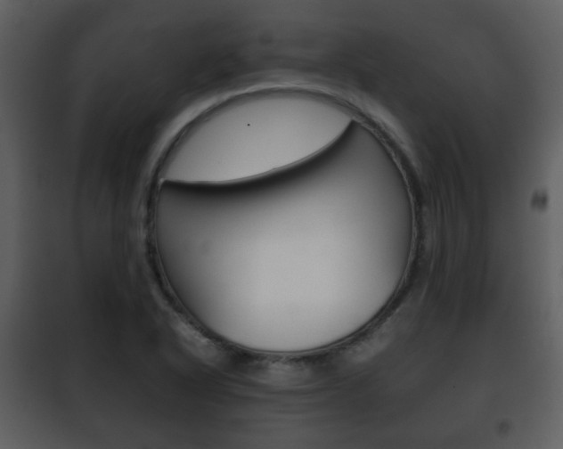 X0000101961318200807180653