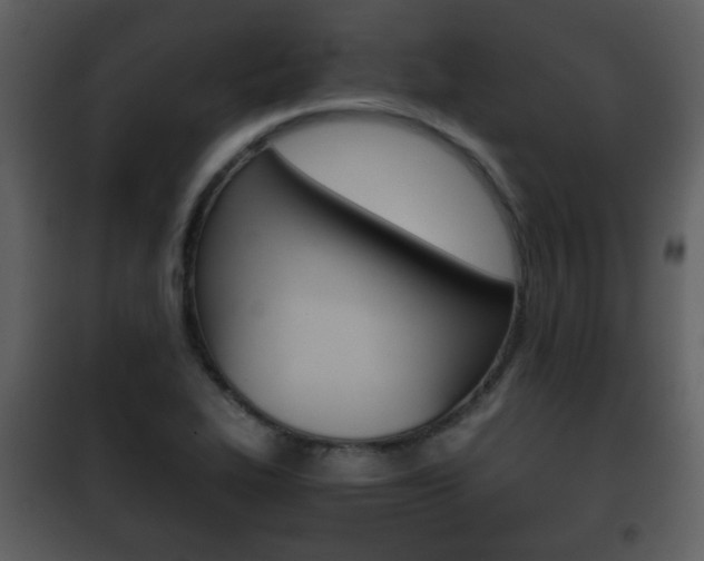 X0000101961319200807180653